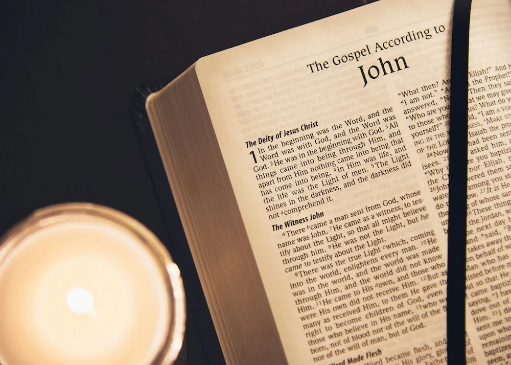 snakes in the bible open book in the Gospel of John