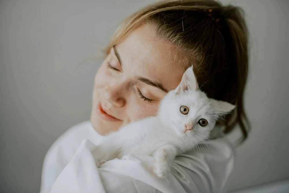 white cat being cuddled
